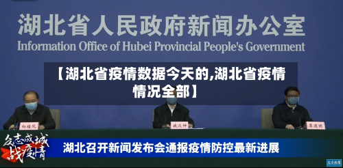 【湖北省疫情数据今天的,湖北省疫情情况全部】-第1张图片