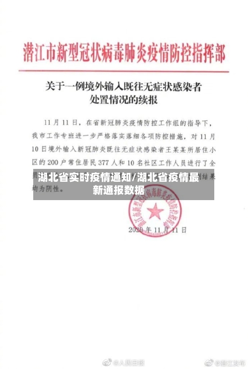 湖北省实时疫情通知/湖北省疫情最新通报数据-第2张图片
