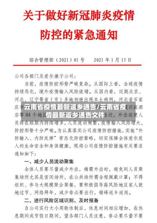 云南省疫情最新返乡通告/云南省疫情最新返乡通告文件-第3张图片