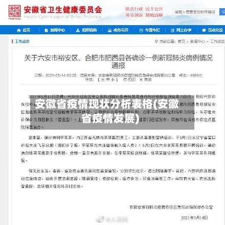 安徽省疫情现状分析表格(安徽省疫情发展)-第3张图片