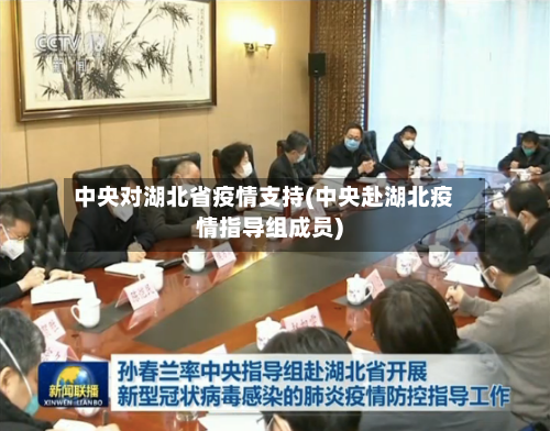 中央对湖北省疫情支持(中央赴湖北疫情指导组成员)-第3张图片