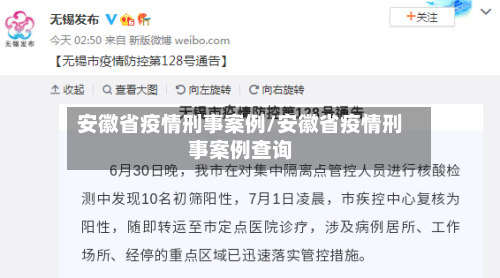 安徽省疫情刑事案例/安徽省疫情刑事案例查询-第3张图片