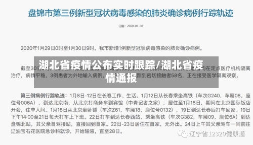 湖北省疫情公布实时跟踪/湖北省疫情通报-第2张图片