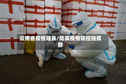 云南省疫情陆良/陆良疫情防控指挥部-第1张图片