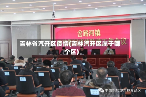 吉林省汽开区疫情(吉林汽开区属于哪个区)-第1张图片