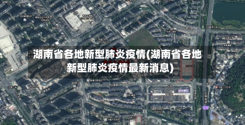 湖南省各地新型肺炎疫情(湖南省各地新型肺炎疫情最新消息)-第3张图片