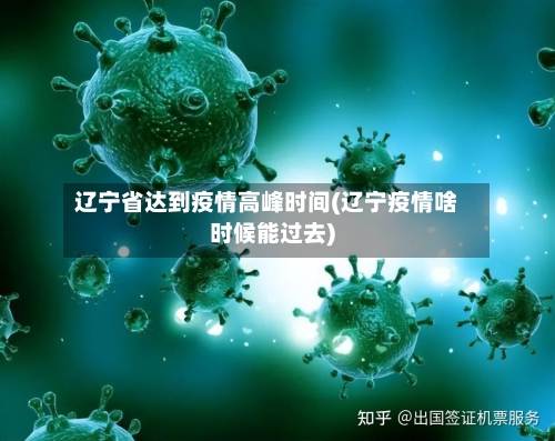 辽宁省达到疫情高峰时间(辽宁疫情啥时候能过去)-第1张图片