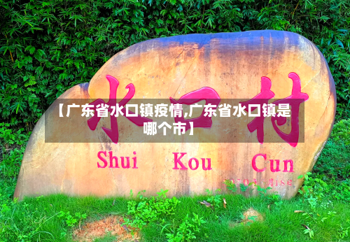 【广东省水口镇疫情,广东省水口镇是哪个市】-第1张图片