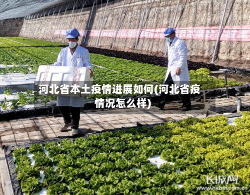 河北省本土疫情进展如何(河北省疫情况怎么样)-第1张图片