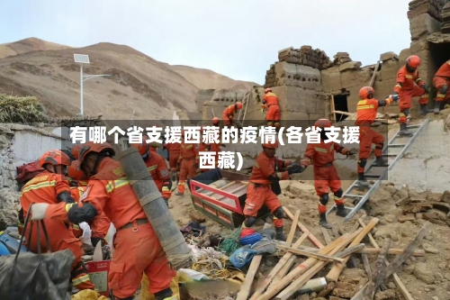 有哪个省支援西藏的疫情(各省支援西藏)-第1张图片