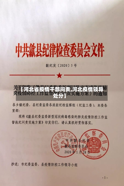 【河北省疫情干部问责,河北疫情领导处分】-第1张图片