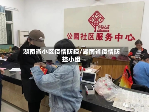 湖南省小区疫情防控/湖南省疫情防控小组-第3张图片