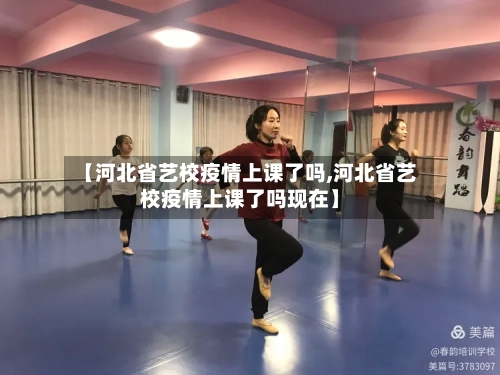 【河北省艺校疫情上课了吗,河北省艺校疫情上课了吗现在】-第2张图片