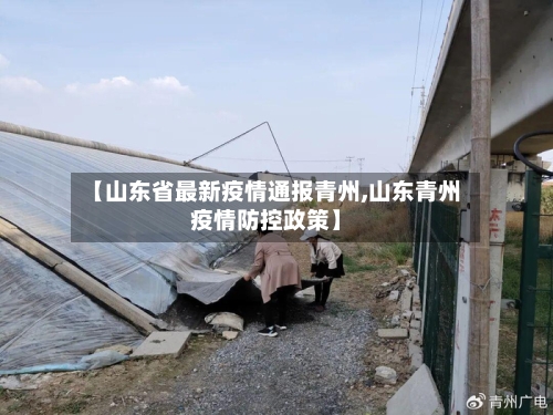 【山东省最新疫情通报青州,山东青州疫情防控政策】-第3张图片