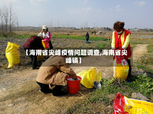 【海南省尖峰疫情问题调查,海南省尖峰镇】-第2张图片