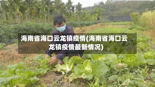 海南省海口云龙镇疫情(海南省海口云龙镇疫情最新情况)-第2张图片