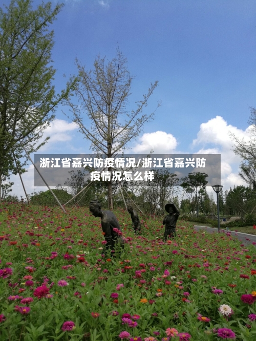 浙江省嘉兴防疫情况/浙江省嘉兴防疫情况怎么样-第2张图片