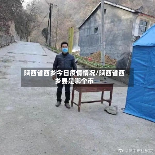 陕西省西乡今日疫情情况/陕西省西乡县是哪个市-第3张图片