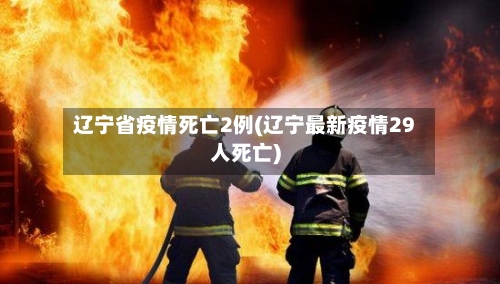 辽宁省疫情死亡2例(辽宁最新疫情29人死亡)-第2张图片