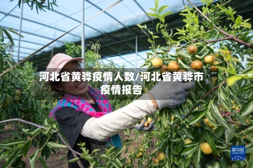 河北省黄骅疫情人数/河北省黄骅市疫情报告-第1张图片