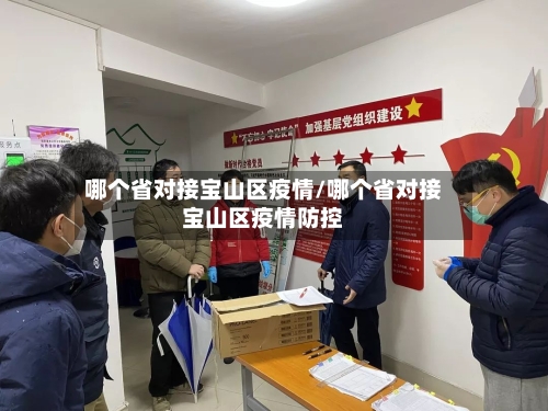 哪个省对接宝山区疫情/哪个省对接宝山区疫情防控-第1张图片