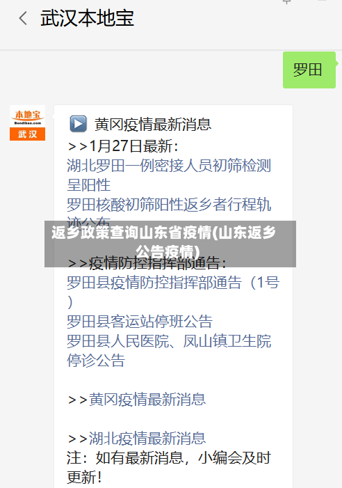返乡政策查询山东省疫情(山东返乡公告疫情)-第3张图片
