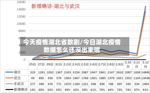 今天疫情湖北省数剧/今日湖北疫情数据怎么还没出来呢-第2张图片