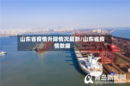 山东省疫情升降情况最新/山东省疫情数据-第2张图片