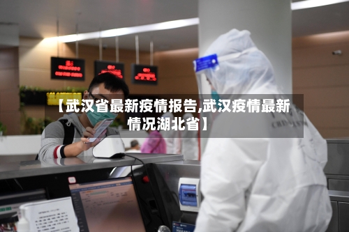 【武汉省最新疫情报告,武汉疫情最新情况湖北省】-第2张图片