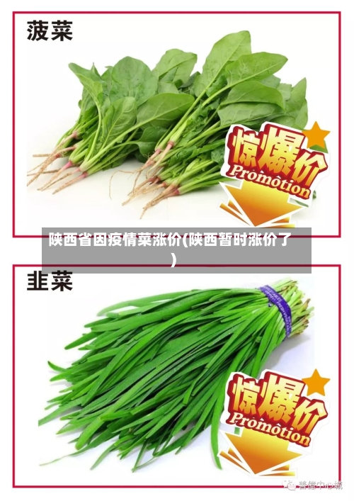 陕西省因疫情菜涨价(陕西暂时涨价了)-第3张图片