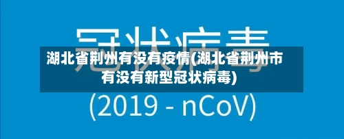 湖北省荆州有没有疫情(湖北省荆州市有没有新型冠状病毒)-第1张图片