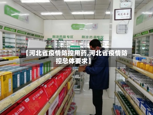 【河北省疫情防控用药,河北省疫情防控总体要求】-第2张图片