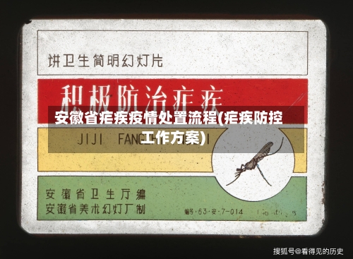 安徽省疟疾疫情处置流程(疟疾防控工作方案)-第2张图片