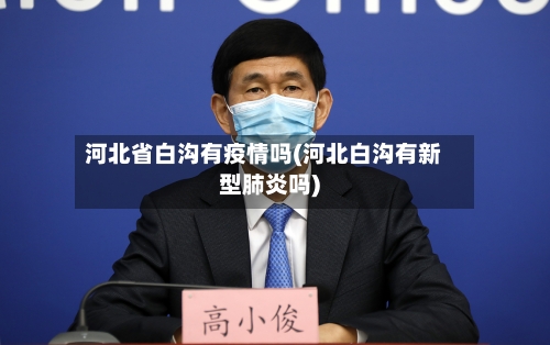河北省白沟有疫情吗(河北白沟有新型肺炎吗)-第2张图片