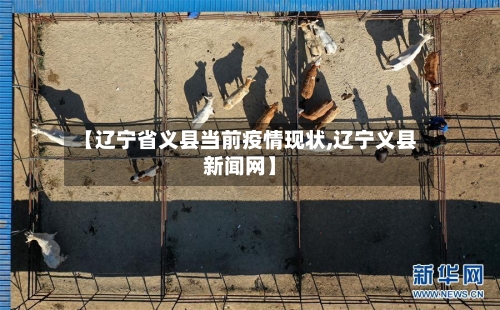 【辽宁省义县当前疫情现状,辽宁义县新闻网】-第2张图片