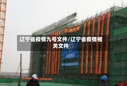 辽宁省疫情九号文件/辽宁省疫情相关文件-第2张图片