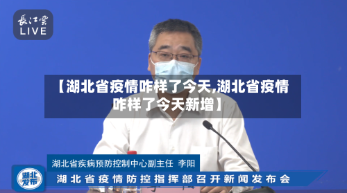 【湖北省疫情咋样了今天,湖北省疫情咋样了今天新增】-第2张图片