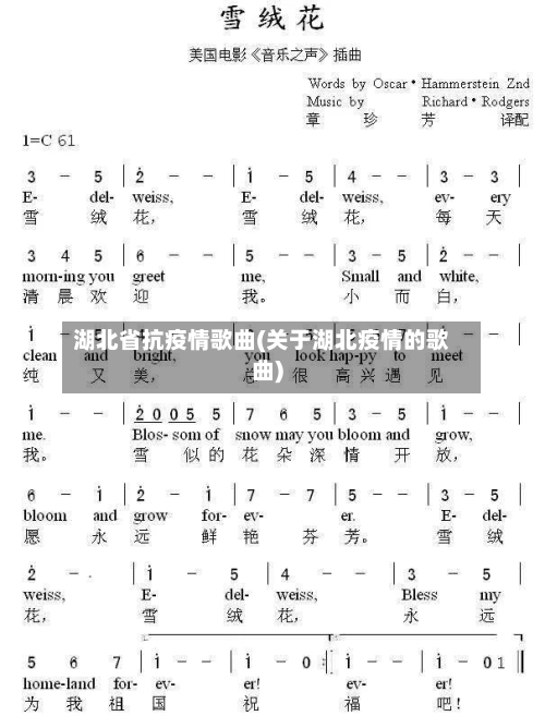 湖北省抗疫情歌曲(关于湖北疫情的歌曲)-第1张图片