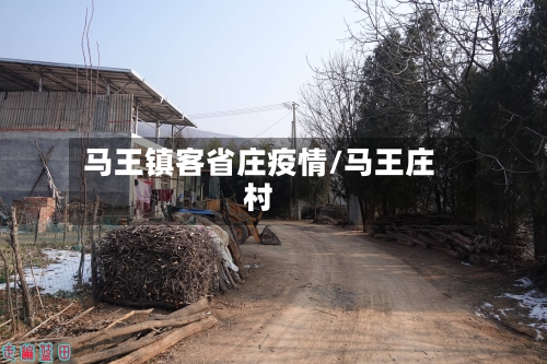 马王镇客省庄疫情/马王庄村-第3张图片