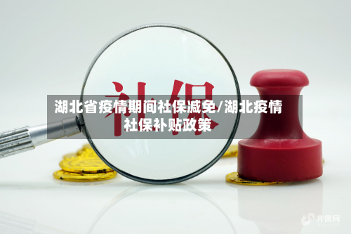 湖北省疫情期间社保减免/湖北疫情社保补贴政策-第2张图片
