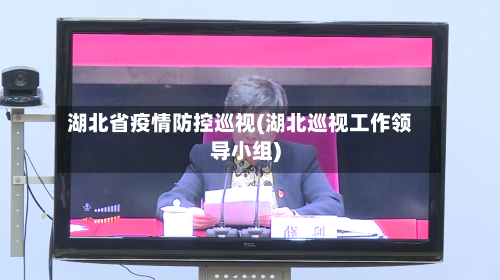 湖北省疫情防控巡视(湖北巡视工作领导小组)-第1张图片