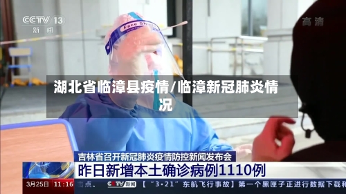 湖北省临漳县疫情/临漳新冠肺炎情况-第2张图片