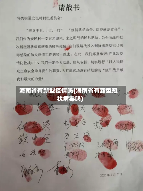 海南省有新型疫情吗(海南省有新型冠状病毒吗)-第1张图片