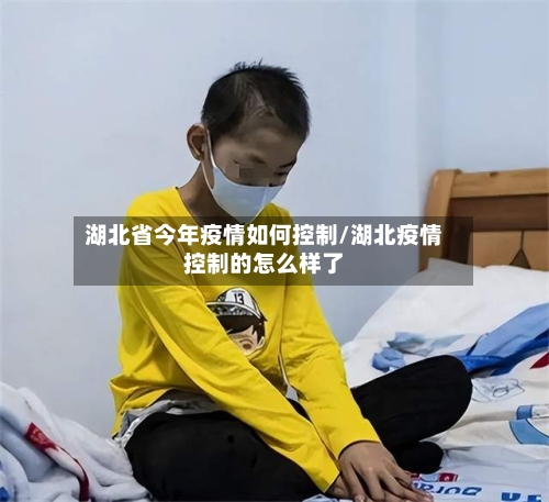 湖北省今年疫情如何控制/湖北疫情控制的怎么样了-第2张图片