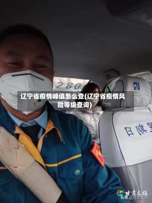 辽宁省疫情峰值怎么查(辽宁省疫情风险等级查询)-第1张图片