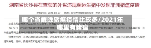 哪个省解除猪瘟疫情比较多/2021年哪里有猪瘟-第1张图片