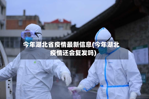 今年湖北省疫情最新信息(今年湖北疫情还会复发吗)-第1张图片