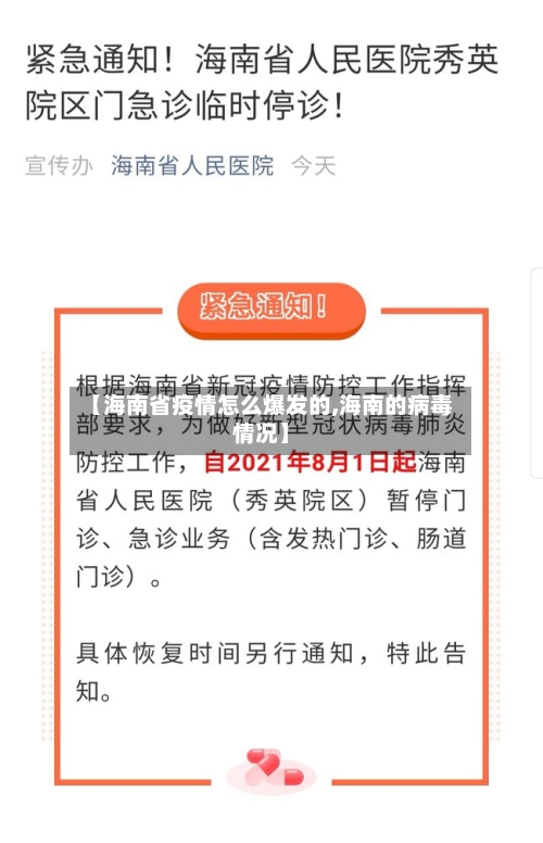 【海南省疫情怎么爆发的,海南的病毒情况】-第3张图片