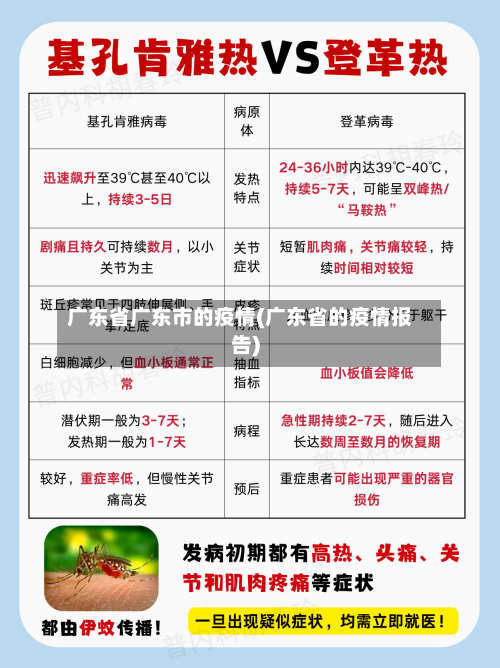 广东省广东市的疫情(广东省的疫情报告)-第1张图片