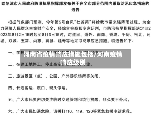 河南省疫情响应措施包括/河南疫情响应级别-第3张图片